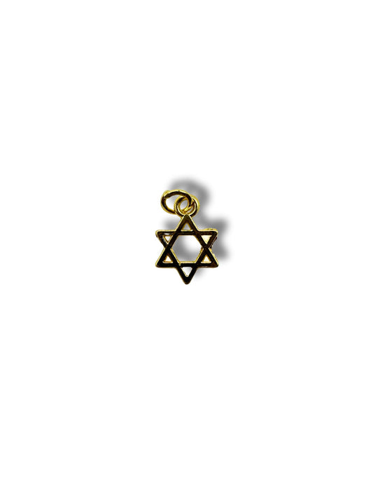 Star of David Charm
