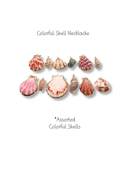 Colorful Shell Collection - Charm Necklace DIY Kit