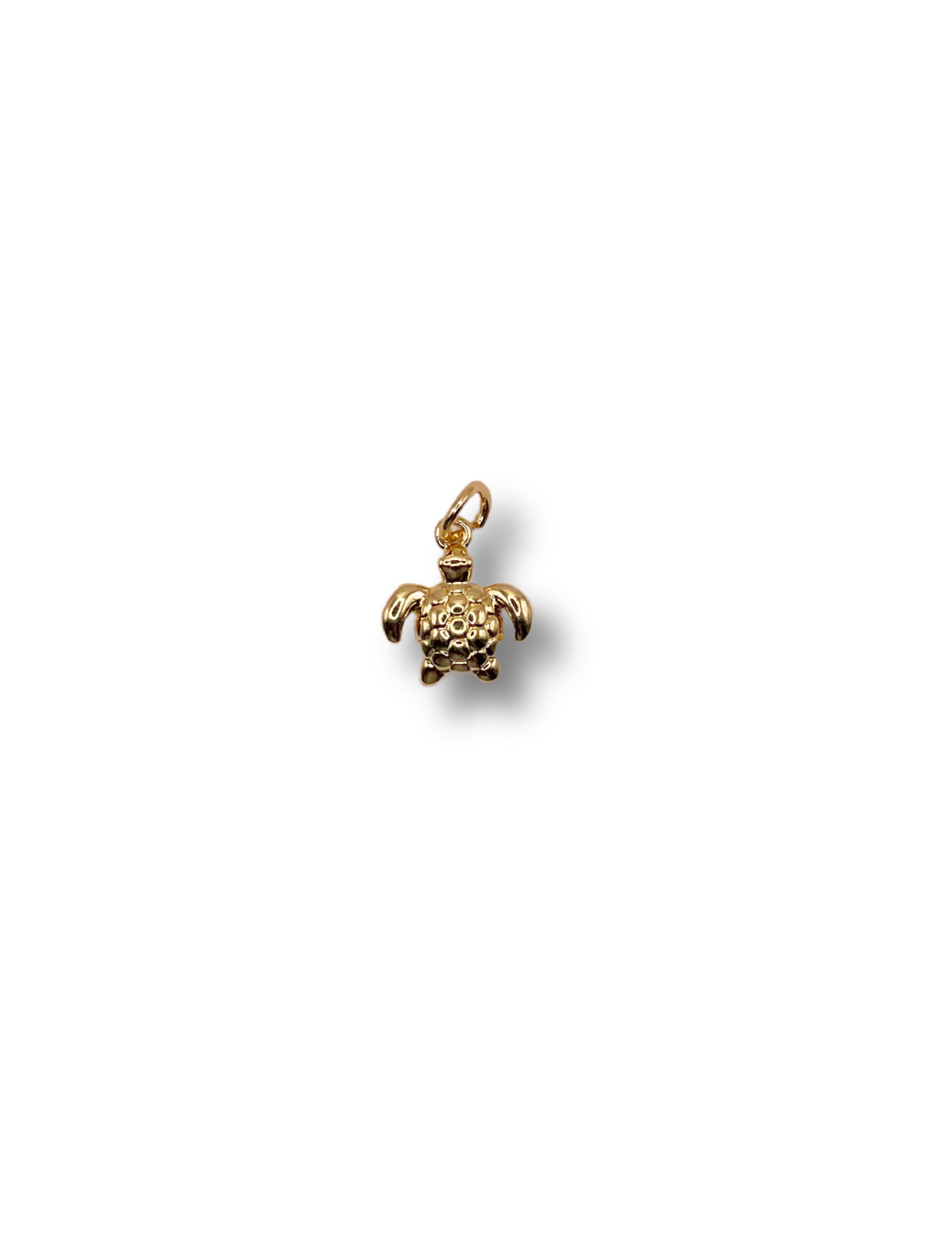 Sea Turtle Charm