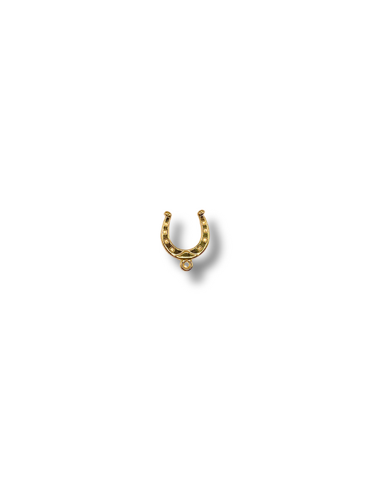 Horse Shoe Charm