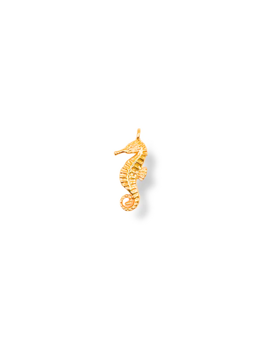 Sea Horse Charm